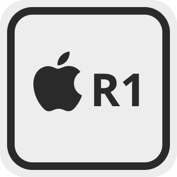 r1-apple-vision-pro