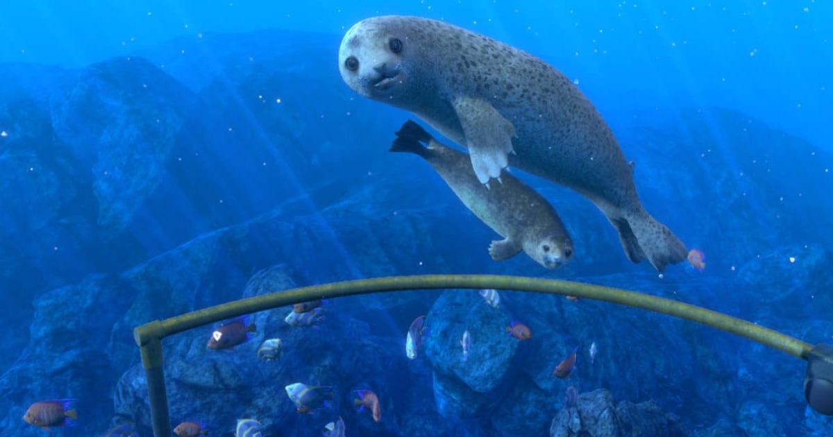 Подводный мир — дайвинг в тапочках в VR