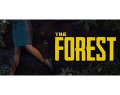 The Forest