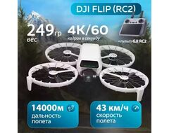  Квадрокоптер DJI Flip Fly More Combo (RC 2)