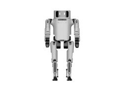 Гуманоидный робот Noetix Dora 