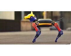 Робособака Petoi BITTLE X 