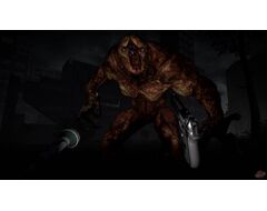 The Brookhaven Experiment